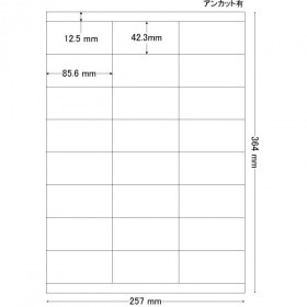 東洋印刷 ( TOYO PRINTING ) ナナワード 85.6mm×42.3mm B4版 257mm