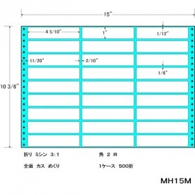 東洋印刷 ( TOYO PRINTING ) ナナフォーム　Mタイプ 4 5/10